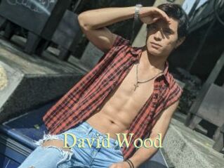 David_Wood