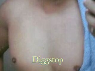 Diggstop