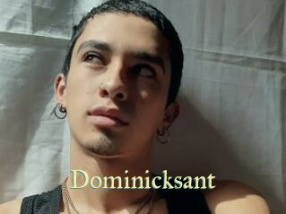 Dominicksant