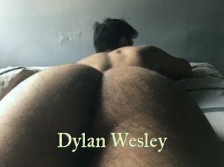 Dylan_Wesley Cube Lille