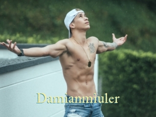 Damianmiuler