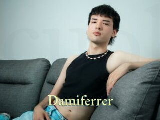 Damiferrer
