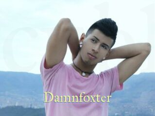 Damnfoxter