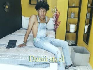 Danii_steel