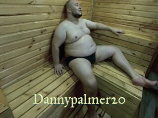 Dannypalmer20