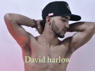 David_harlow