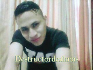 Destructordealmas