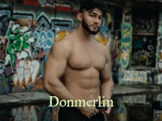 Donmerlin