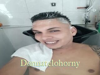 Donnatelohorny