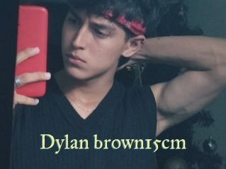 Dylan_brown15cm