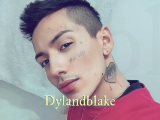 Dylandblake