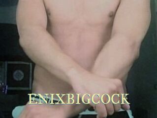 ENIXBIGCOCK