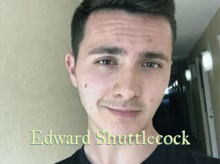Edward_Shuttlecock Cube Lille