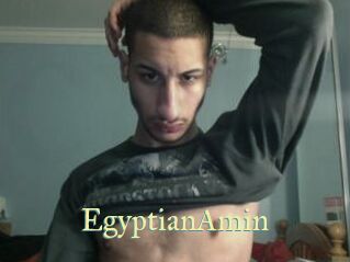 EgyptianAmin