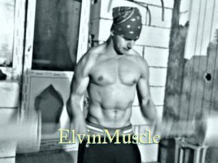 ElvinMuscle Cube Lille