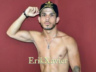 ErikXavier