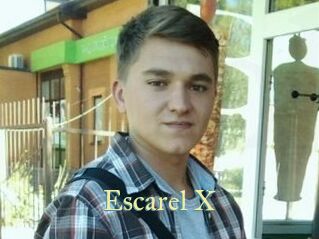 Escarel_X Cube Lille