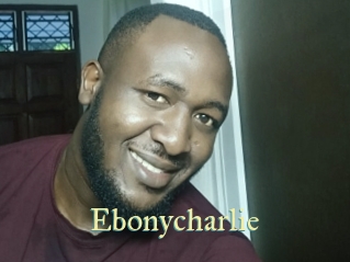 ebonycharlie Cube Lille