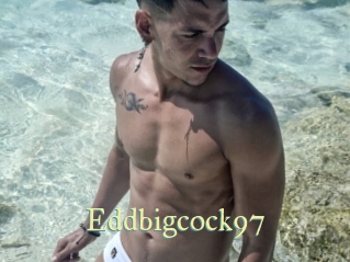 Eddbigcock97