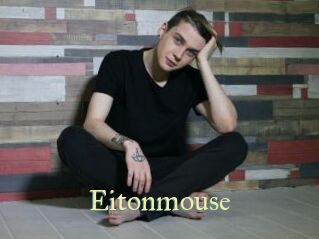 Eitonmouse