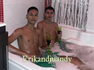 Erikandjuandy