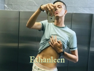 ethanleen Cube Lille
