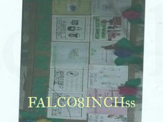 FALCO8INCHss