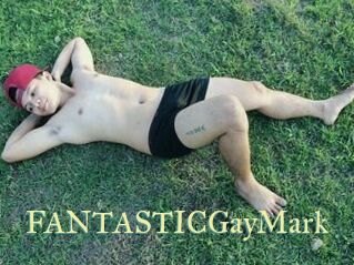 FANTASTICGayMark