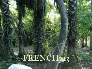 FRENCH213