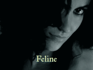 Feline