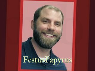 FestusPapyrus Cube Lille