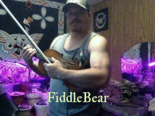 FiddleBear