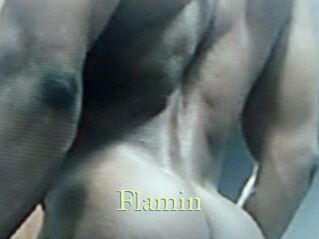 Flamin