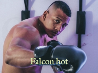 Falcon_hot