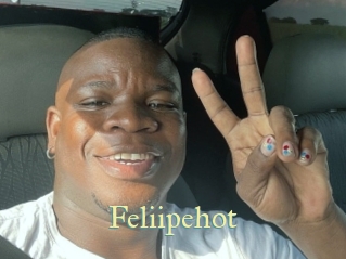 Feliipehot