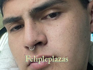 Felipleplazas