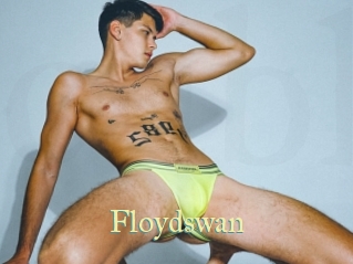 Floydswan