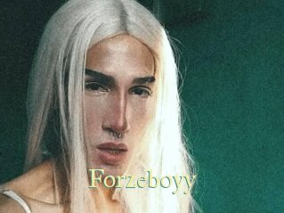 forzeboyy Cube Lille