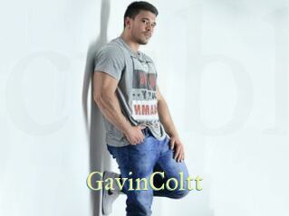 GavinColtt
