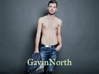 GavinNorth