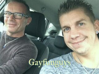 Gayfunguys
