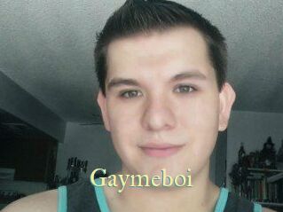 Gaymeboi