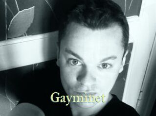 Gayminet