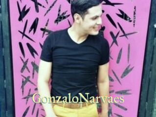 GonzaloNarvaes
