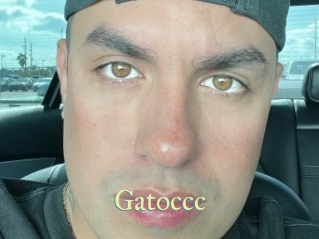 Gatoccc