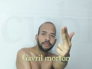 Gavril_morton