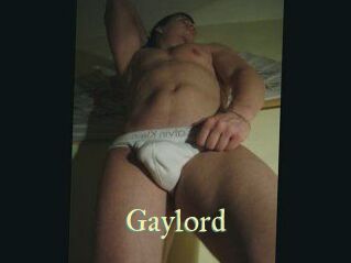 gaylord Cube Lille