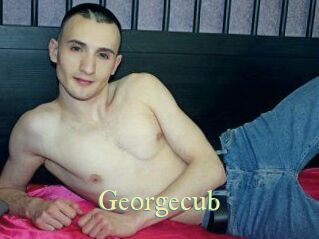 Georgecub