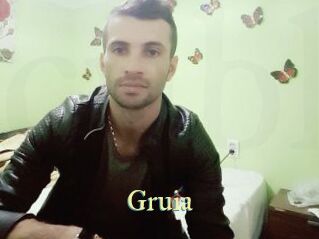 Gruia