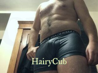 HairyCub